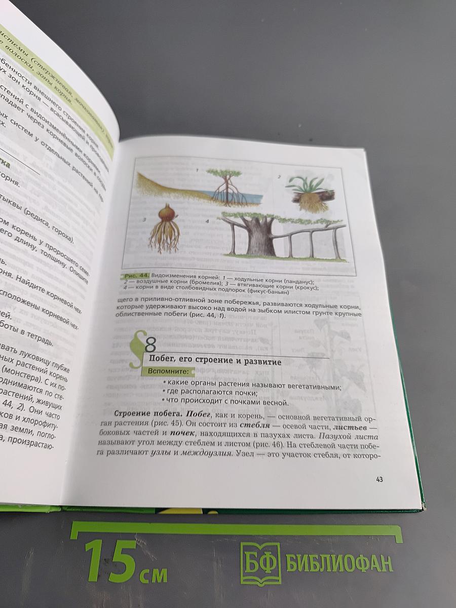 Биология 6 класс