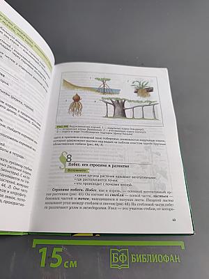 Биология 6 класс