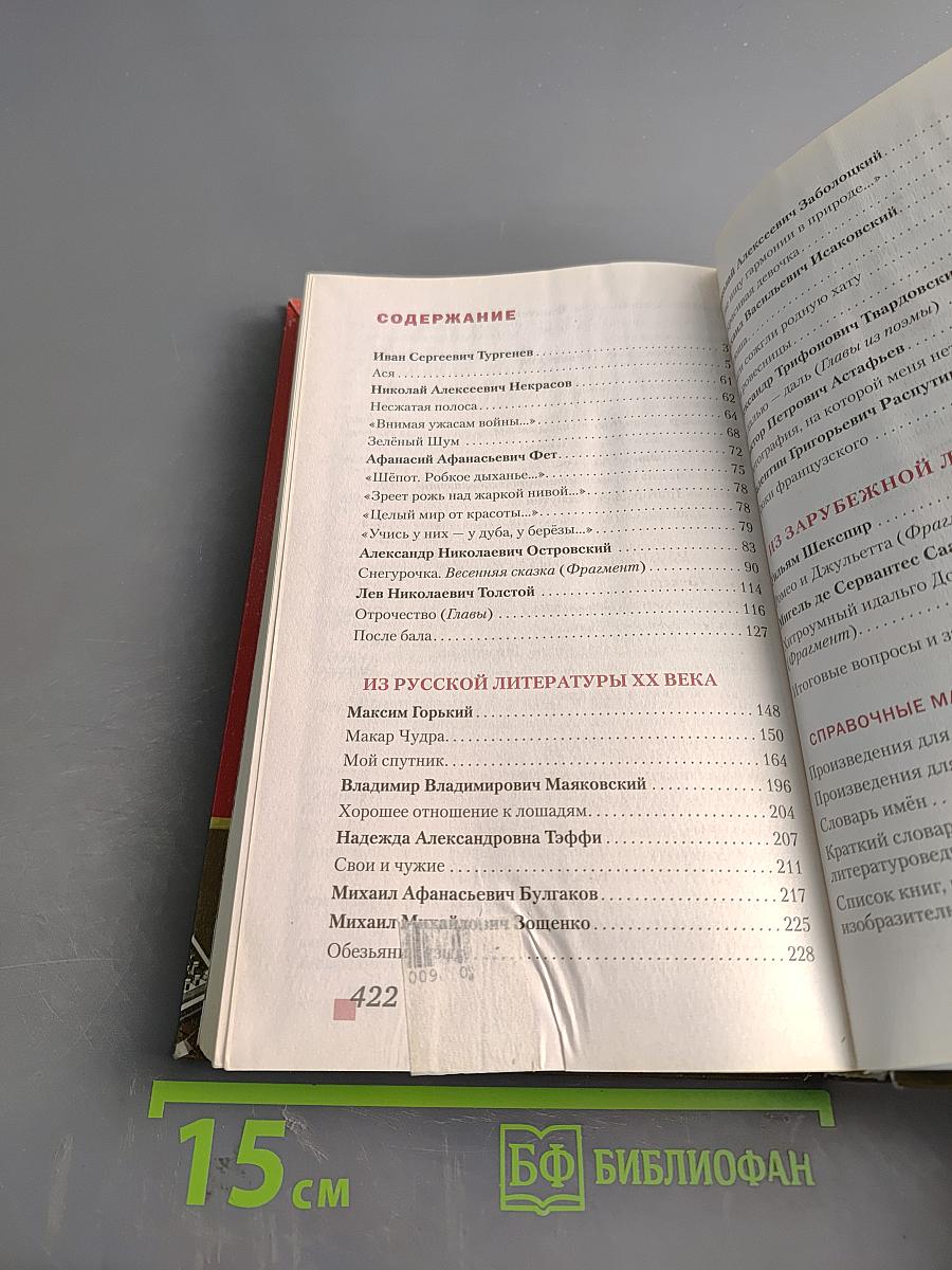 Литература. Учебник для 8 класса общеобразовательных организаций. Часть II