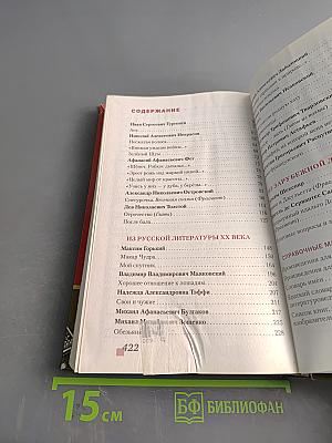 Литература. Учебник для 8 класса общеобразовательных организаций. Часть II