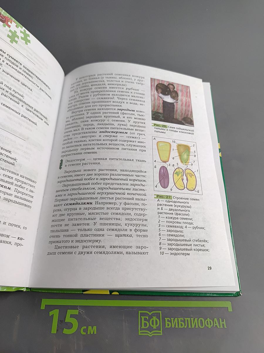 Биология 6 класс