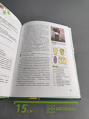 Биология 6 класс