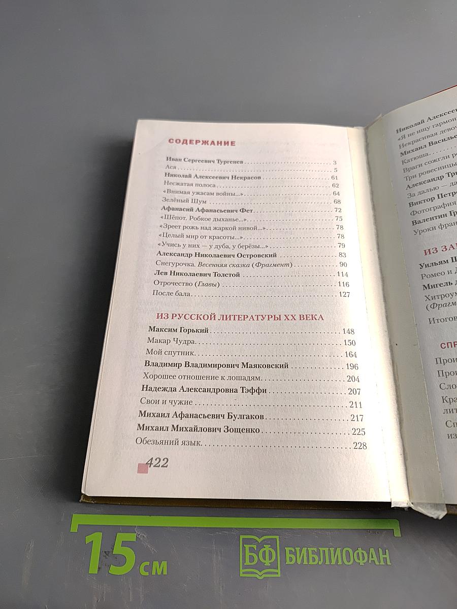 Литература. Учебник для 8 класса общеобразовательных организаций. Часть II