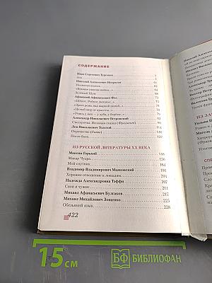 Литература. Учебник для 8 класса общеобразовательных организаций. Часть II