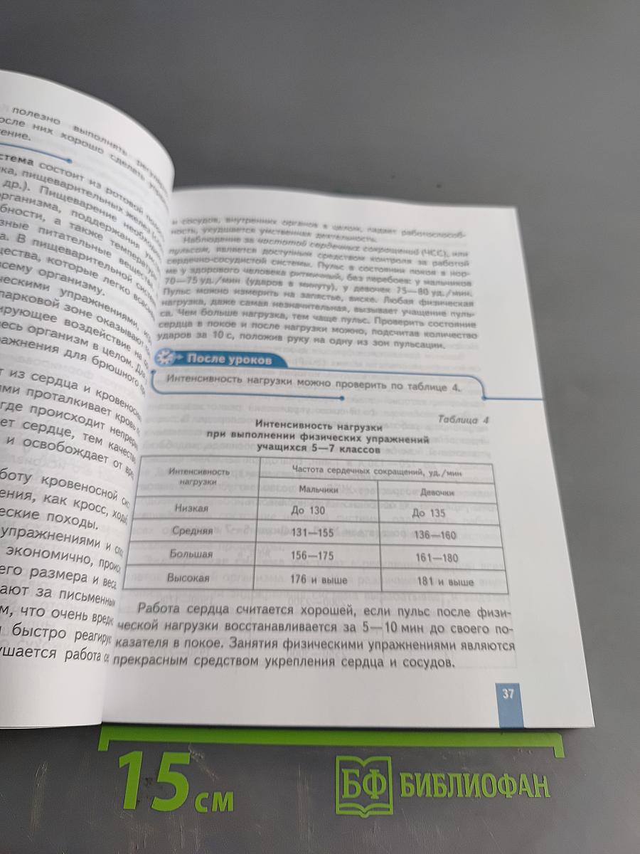 Физическая культура 5-6-7 классы