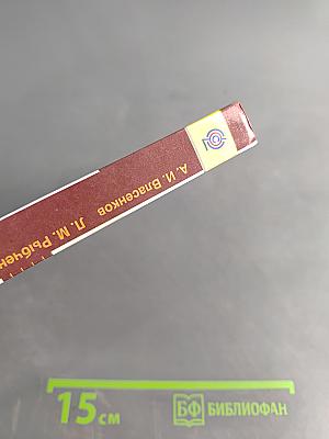 Русский язык. 10-11 классы. Базовый уровень