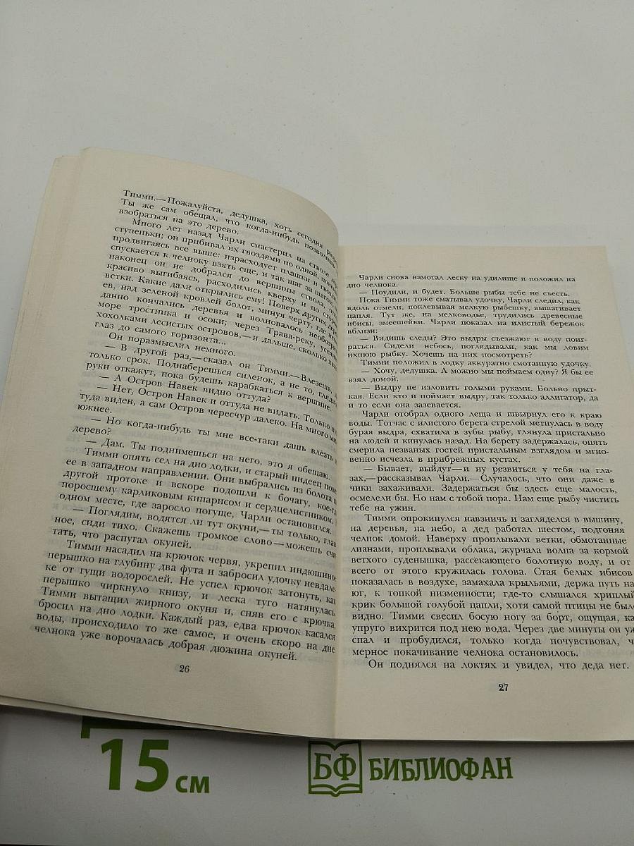 Остров навек. Ангельский город
