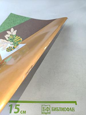 Биология. Рабочая тетрадь № 2. 8 класс