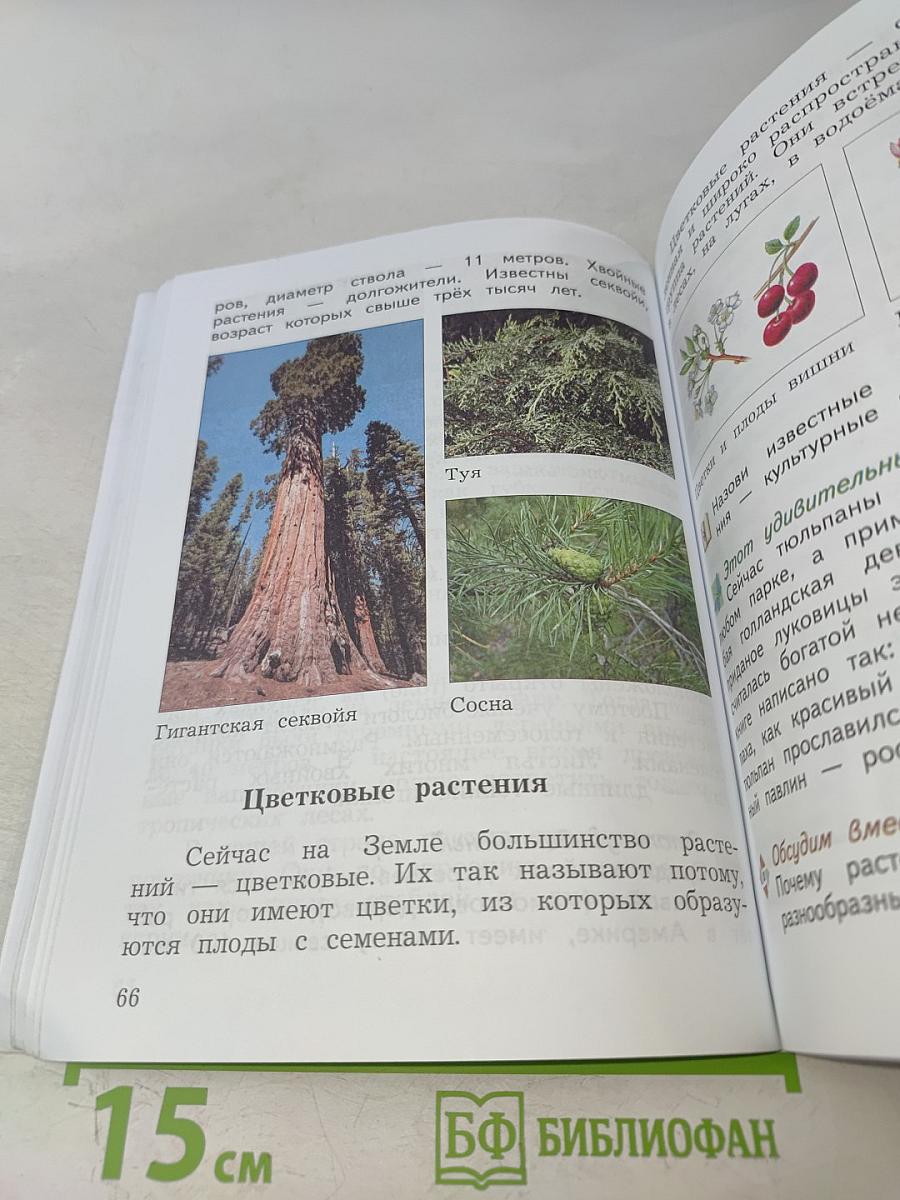 Окружающий мир. Учебник. Часть первая. 3 класс