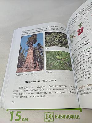 Окружающий мир. Учебник. Часть первая. 3 класс