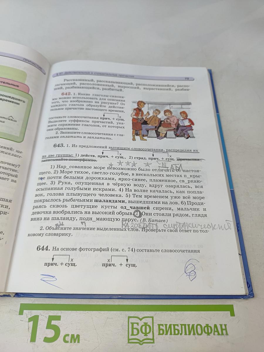 Русский язык. Учебник. 6 класс. Часть 2