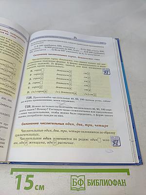 Русский язык. Учебник. 6 класс. Часть 2