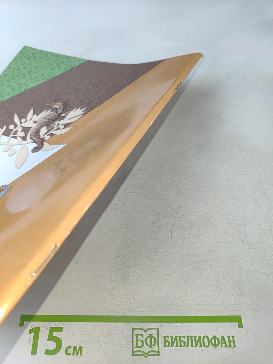 Биология. Рабочая тетрадь № 1. 8 класс