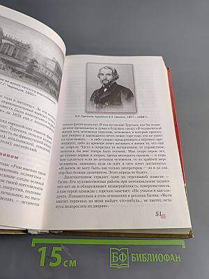 Литература. Учебник для 8 класса. Часть II