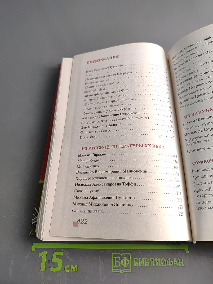 Литература. Учебник для 8 класса. Часть II