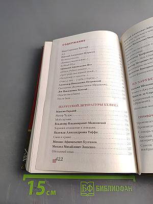 Литература. Учебник для 8 класса. Часть II