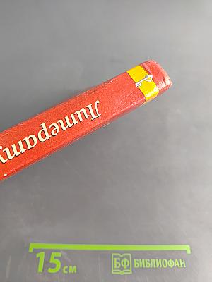 Литература. Учебник для 8 класса. Часть II