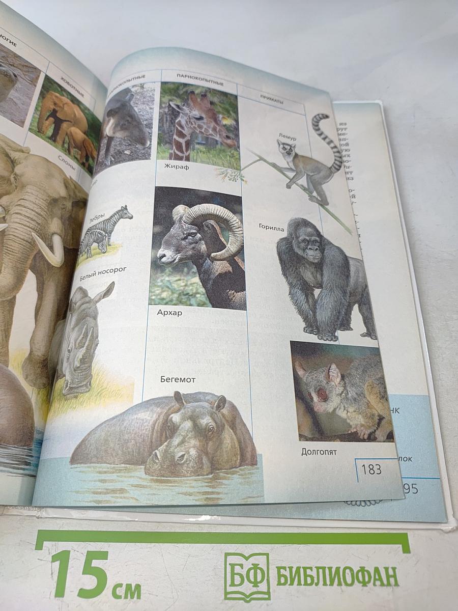 Биология. Многообразие живых организмов. Животные. 8 класс