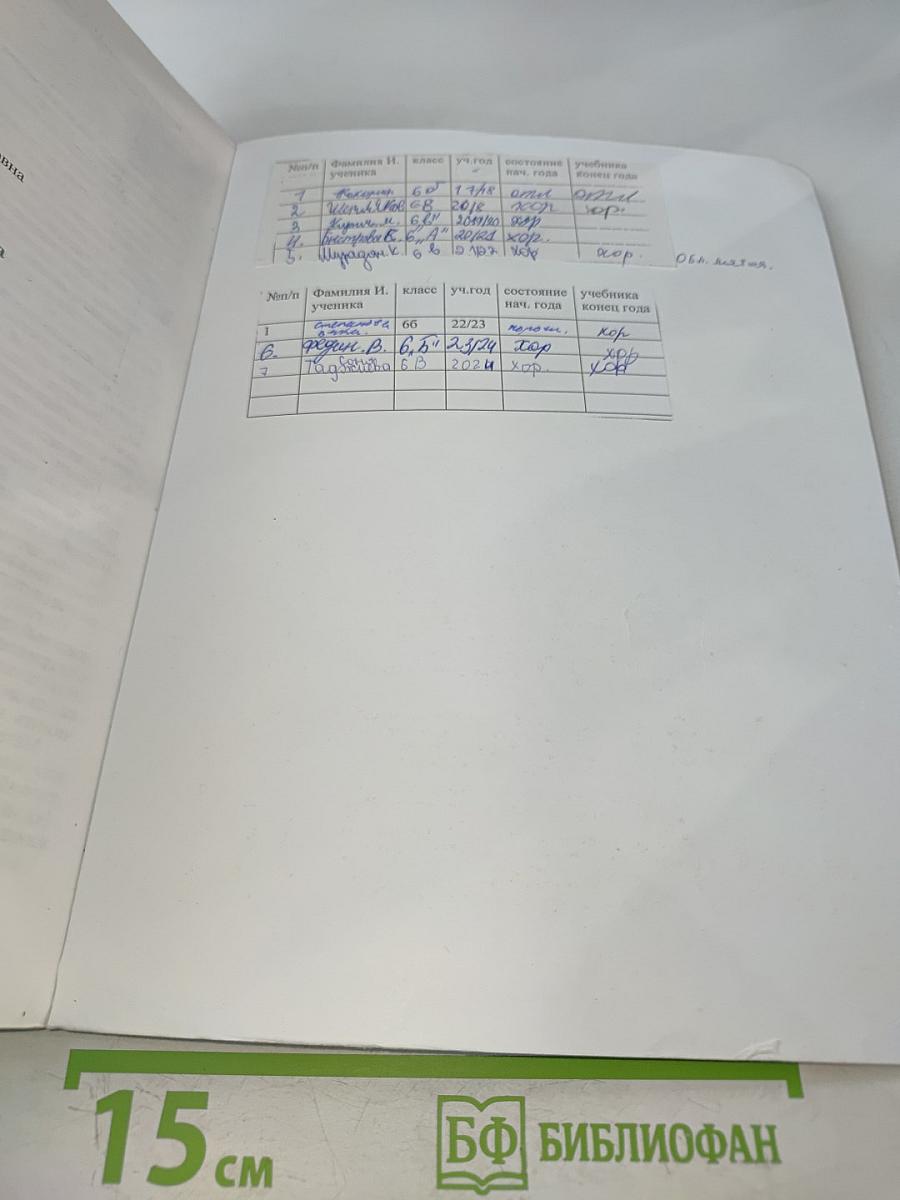 Изобразительное искусство. Искусство в жизни человека. 6 класс