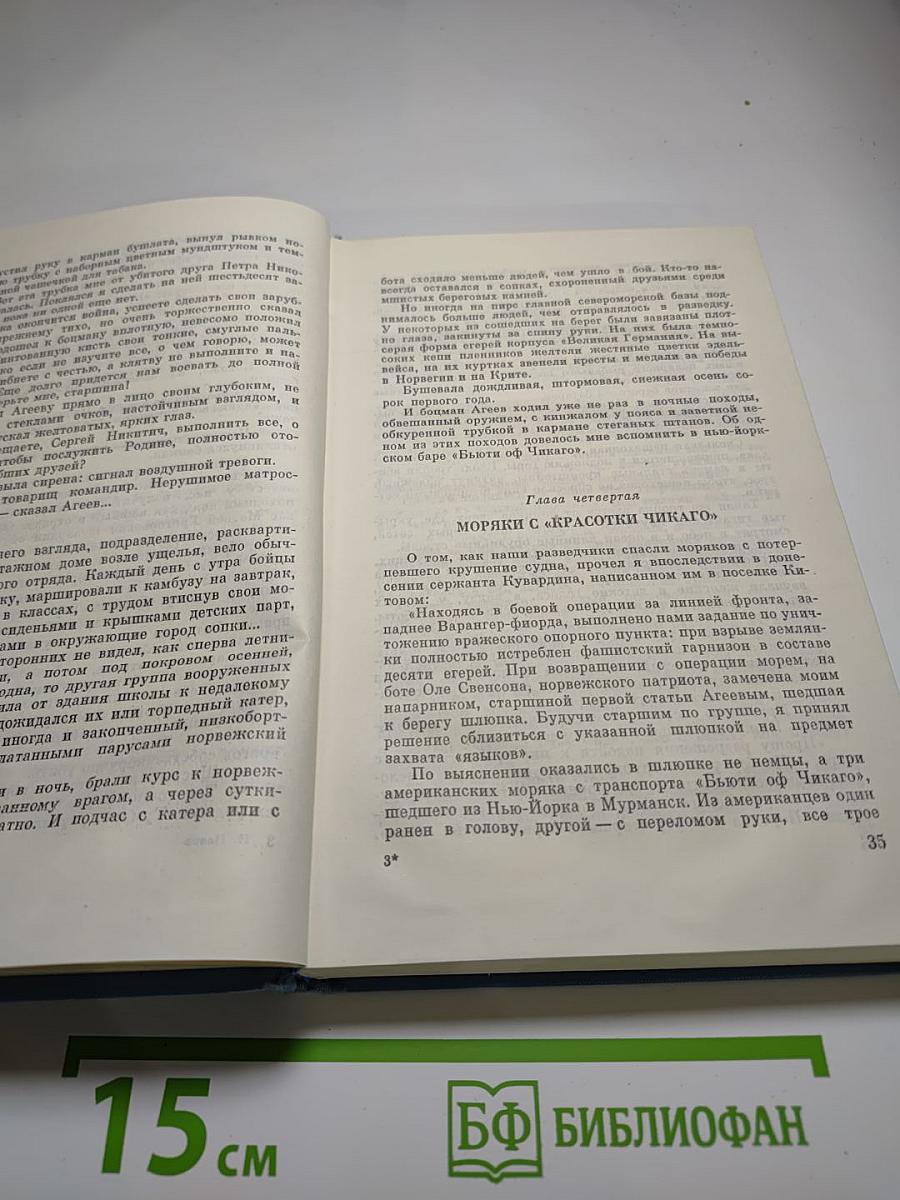Орлы капитана Людова