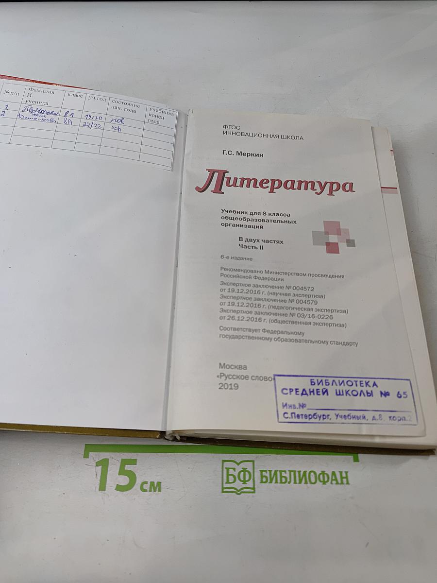 Литература. 8 класс. Часть II