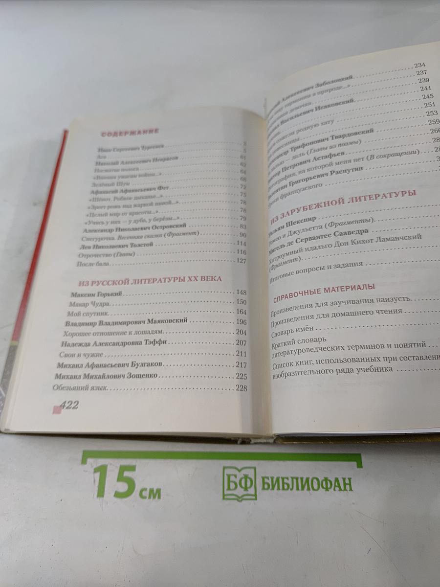 Литература. 8 класс. Часть II