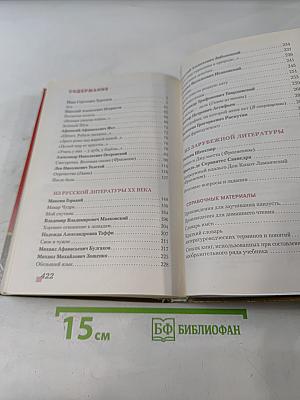 Литература. 8 класс. Часть II