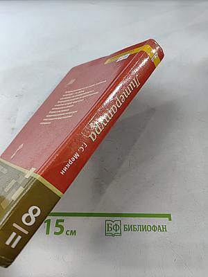 Литература. 8 класс. Часть II