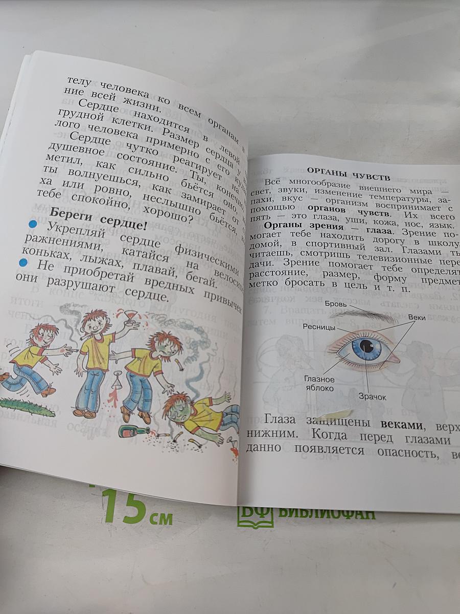 Физическая культура. 1-4 классы