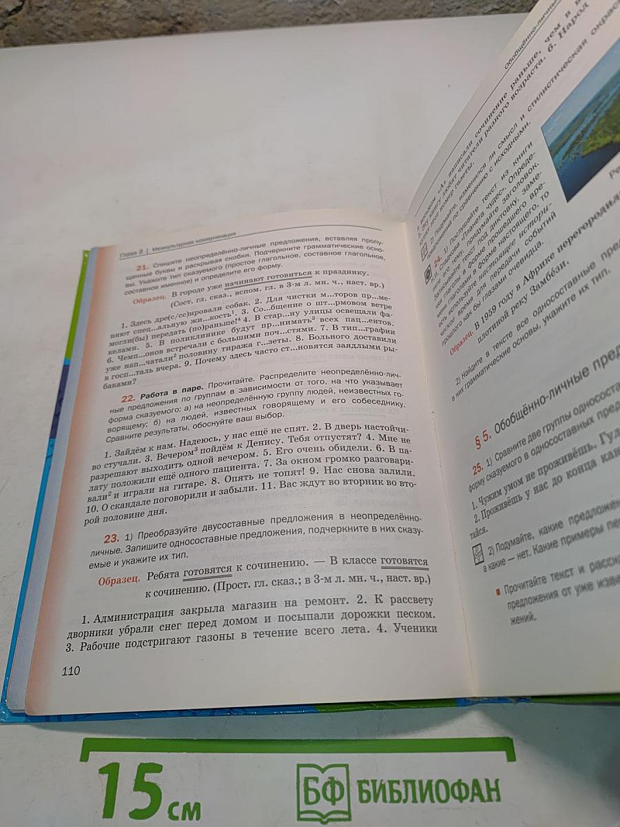 Русский язык. 8 класс