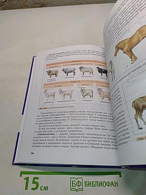 Биология. 7 класс