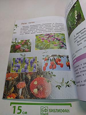 Изобразительное искусство. Искусство и ты. 2 класс