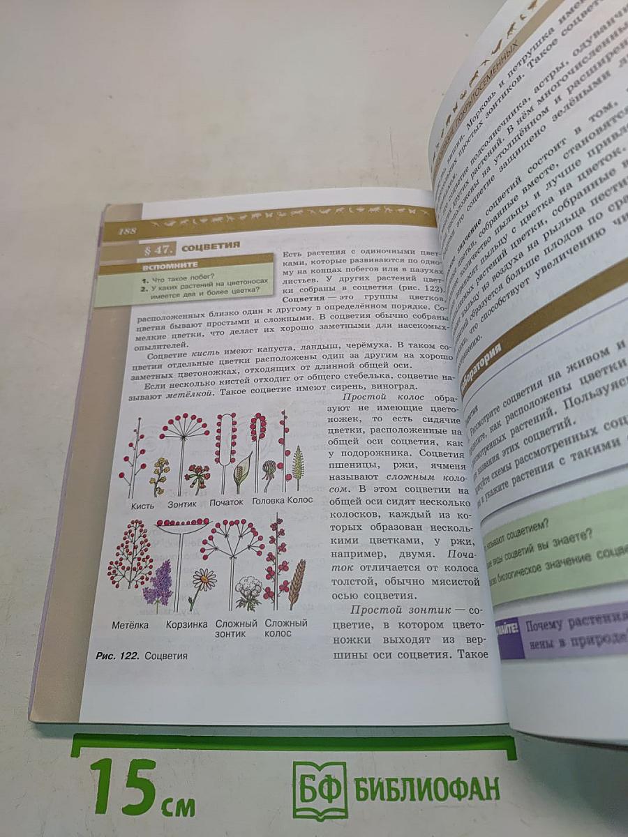 Биология. 5-6 классы