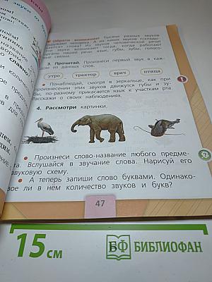 Русский язык. 1 класс