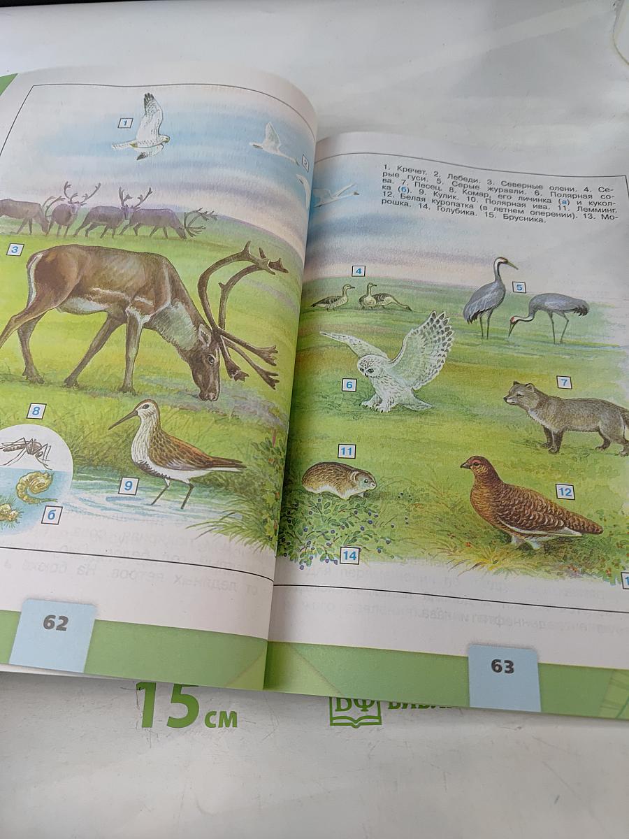 Окружающий мир. 4 класс. Учебник в двух частях. Часть 1