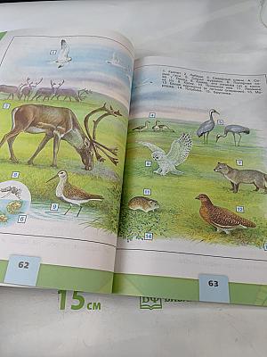 Окружающий мир. 4 класс. Учебник в двух частях. Часть 1