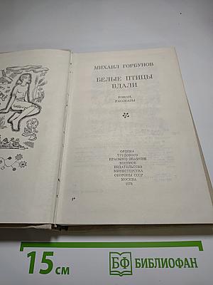 Белые птицы вдали