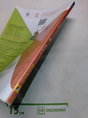 Русский язык. Учебник для общеобразовательных организаций. 4 класс. В двух частях. Часть 2