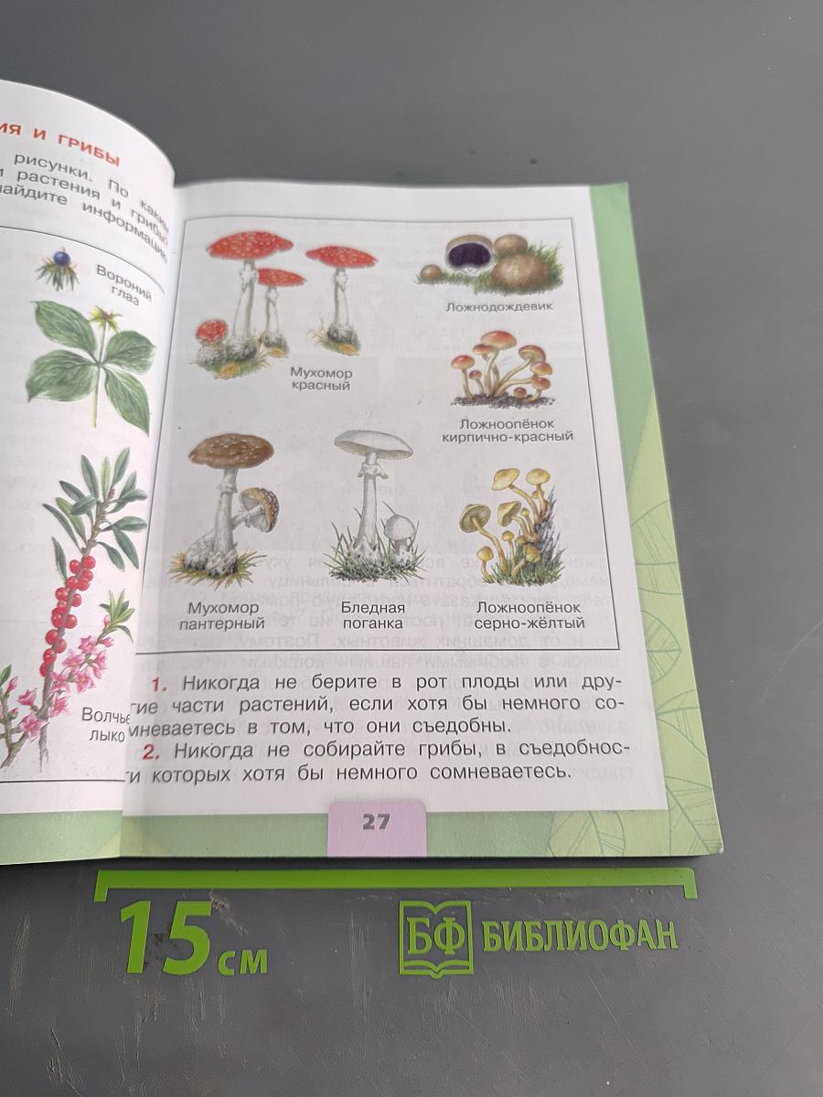 Окружающий мир. Учебник для общеобразовательных организаций. 3 класс. Часть 2