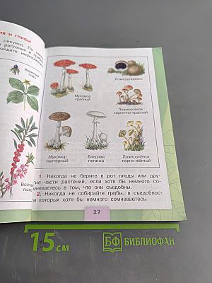 Окружающий мир. Учебник для общеобразовательных организаций. 3 класс. Часть 2