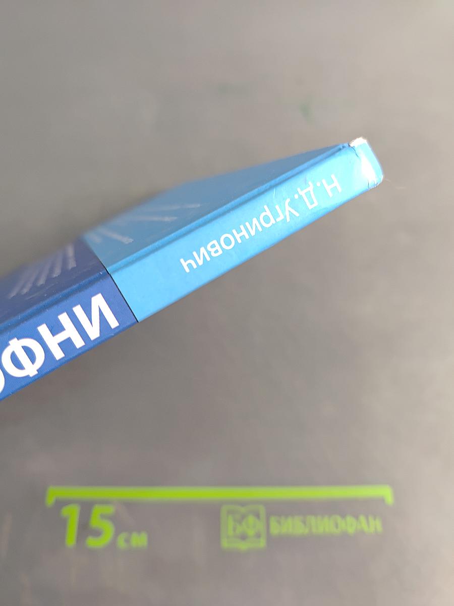 Информатика 8 класс