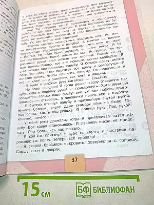 Литературное чтение. Учебник для общеобразовательных организаций. Часть 2. 4 класс