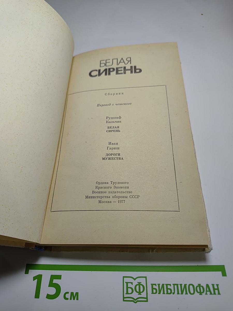 Белая сирень
