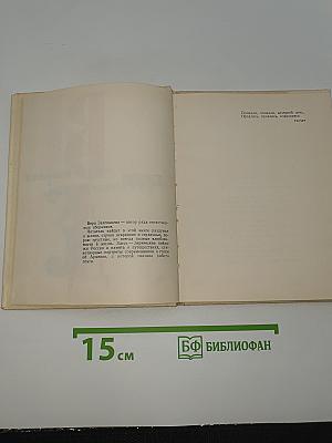 Вечерний день