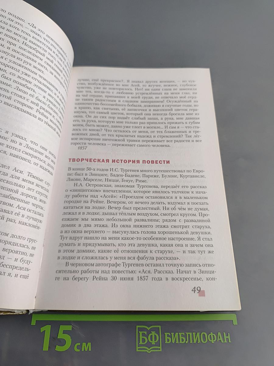 Литература. 8 класс. Часть II