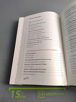 Литература. 8 класс. Часть II