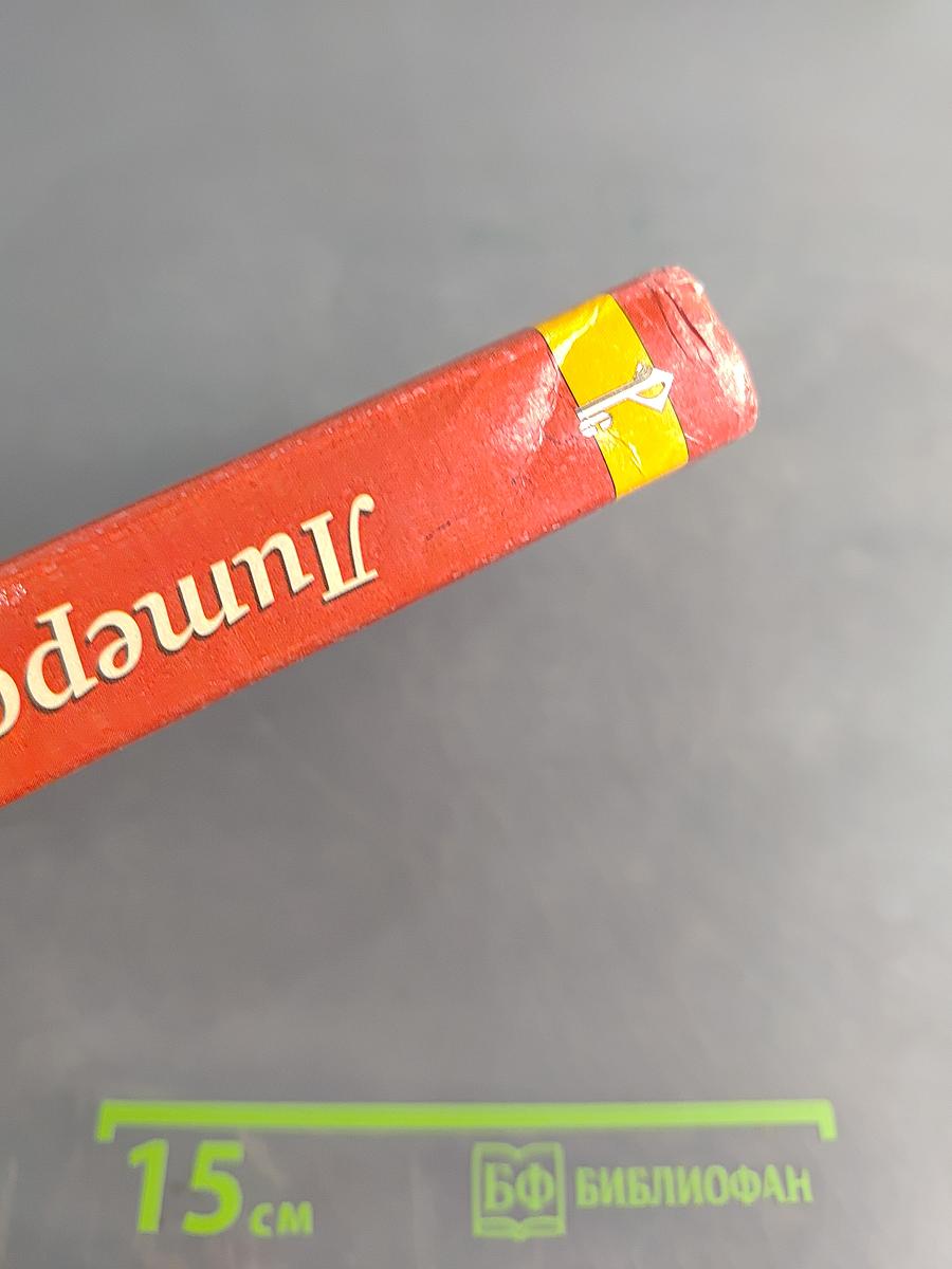 Литература. 8 класс. Часть II