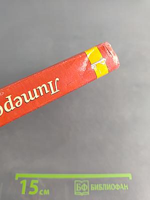 Литература. 8 класс. Часть II