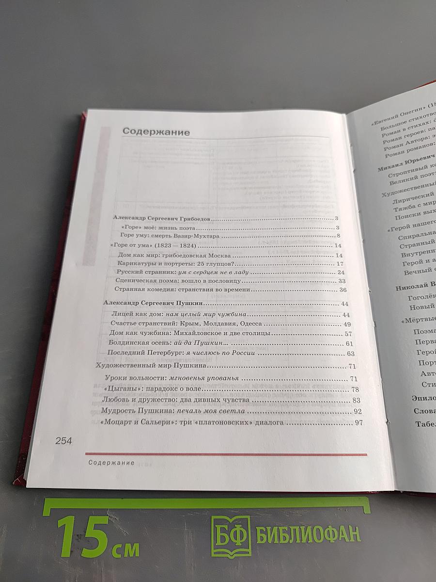Литература. Учебник для 9 класса общеобразовательных организаций. В двух частях. Часть 2