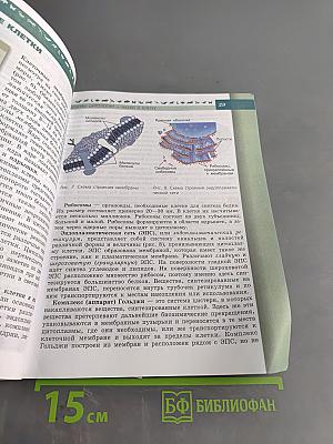Биология. 9 класс. Учебник для общеобразовательных организаций